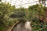leipzig zoo-01_07_2011_gondwanaland_114